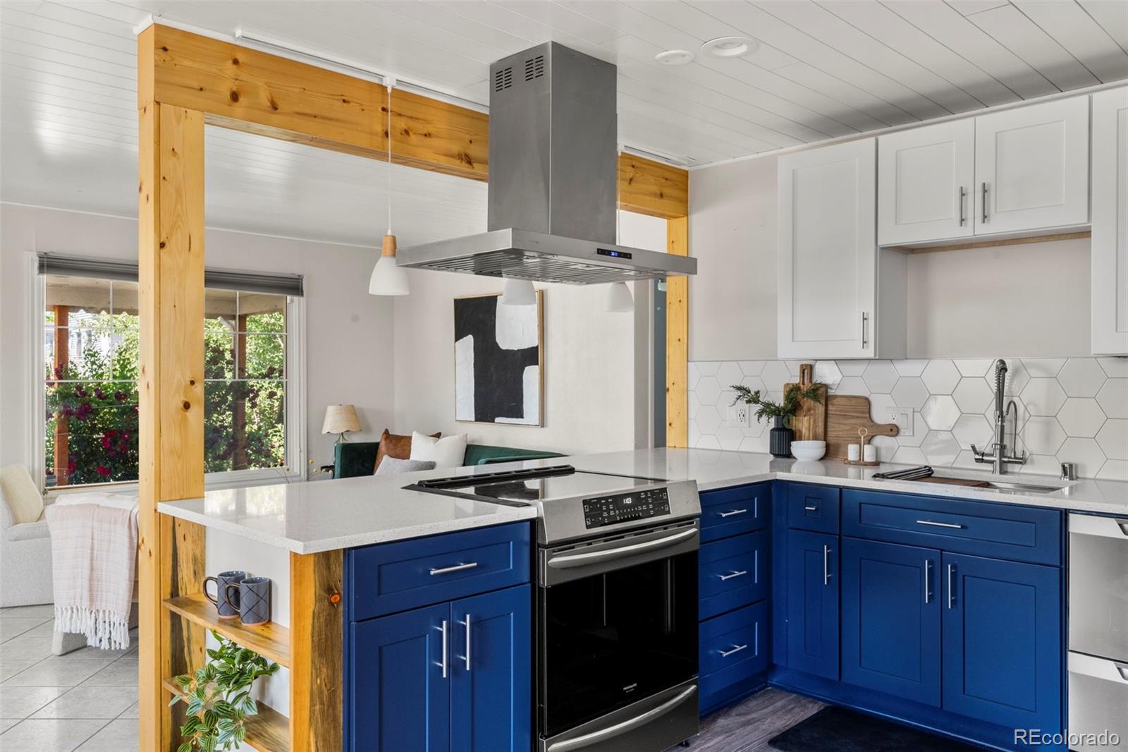 MLS Image #8 for 46 s perry street,denver, Colorado
