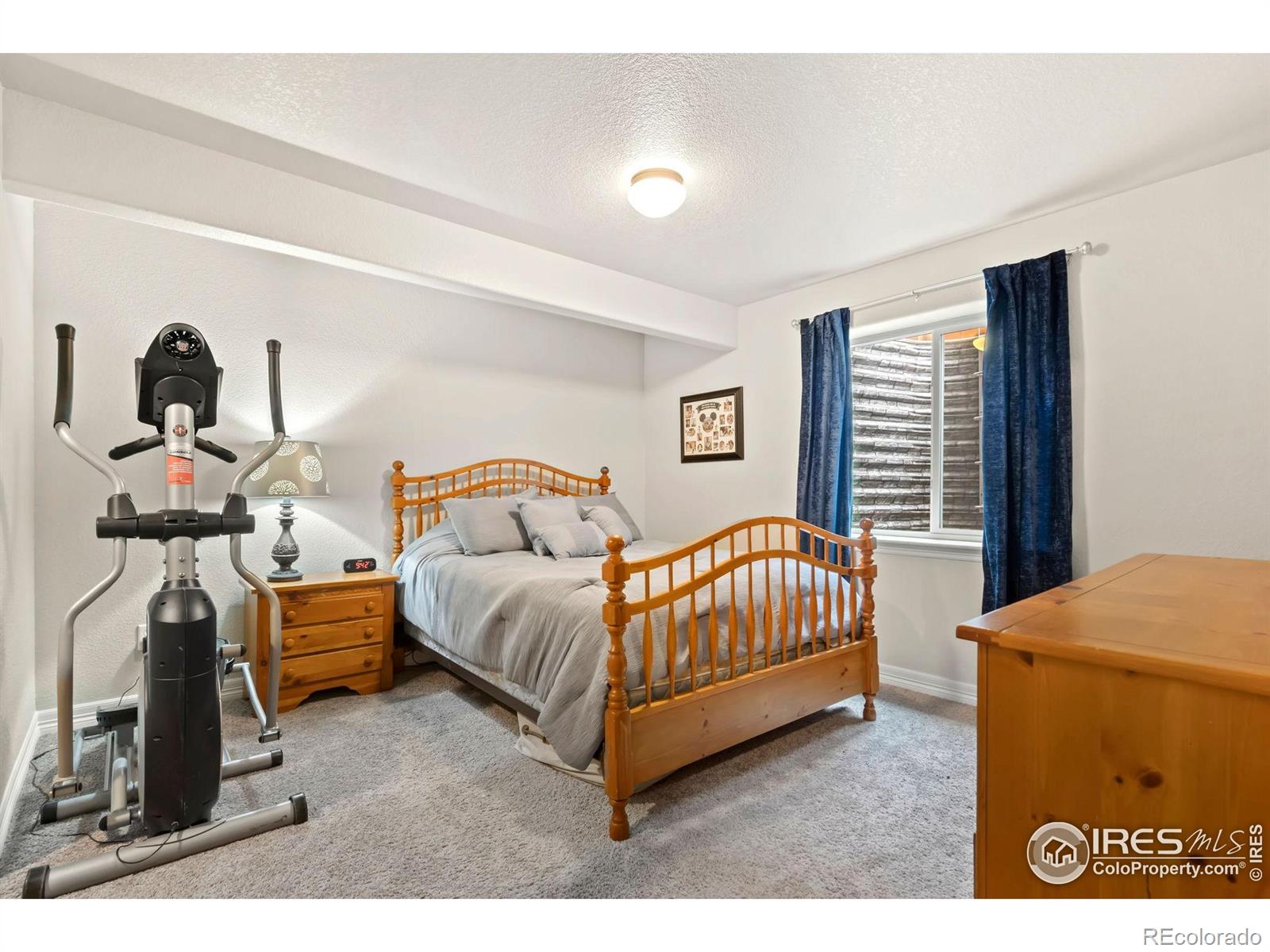 MLS Image #21 for 877  emerald lakes street,severance, Colorado