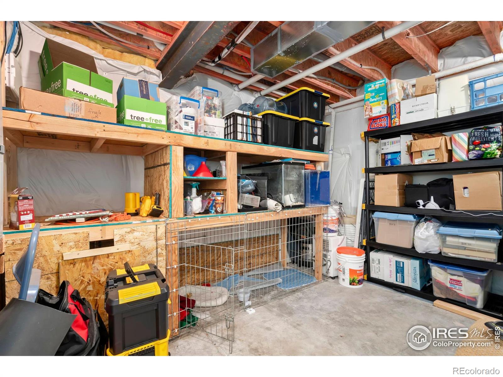MLS Image #22 for 877  emerald lakes street,severance, Colorado