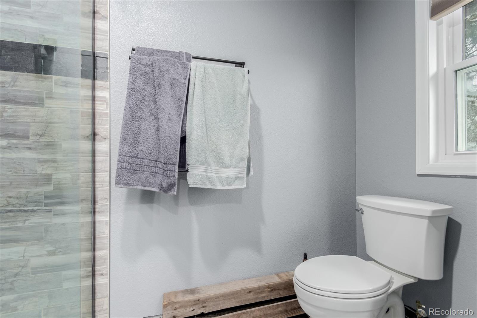 MLS Image #21 for 1341  tomichi drive,franktown, Colorado