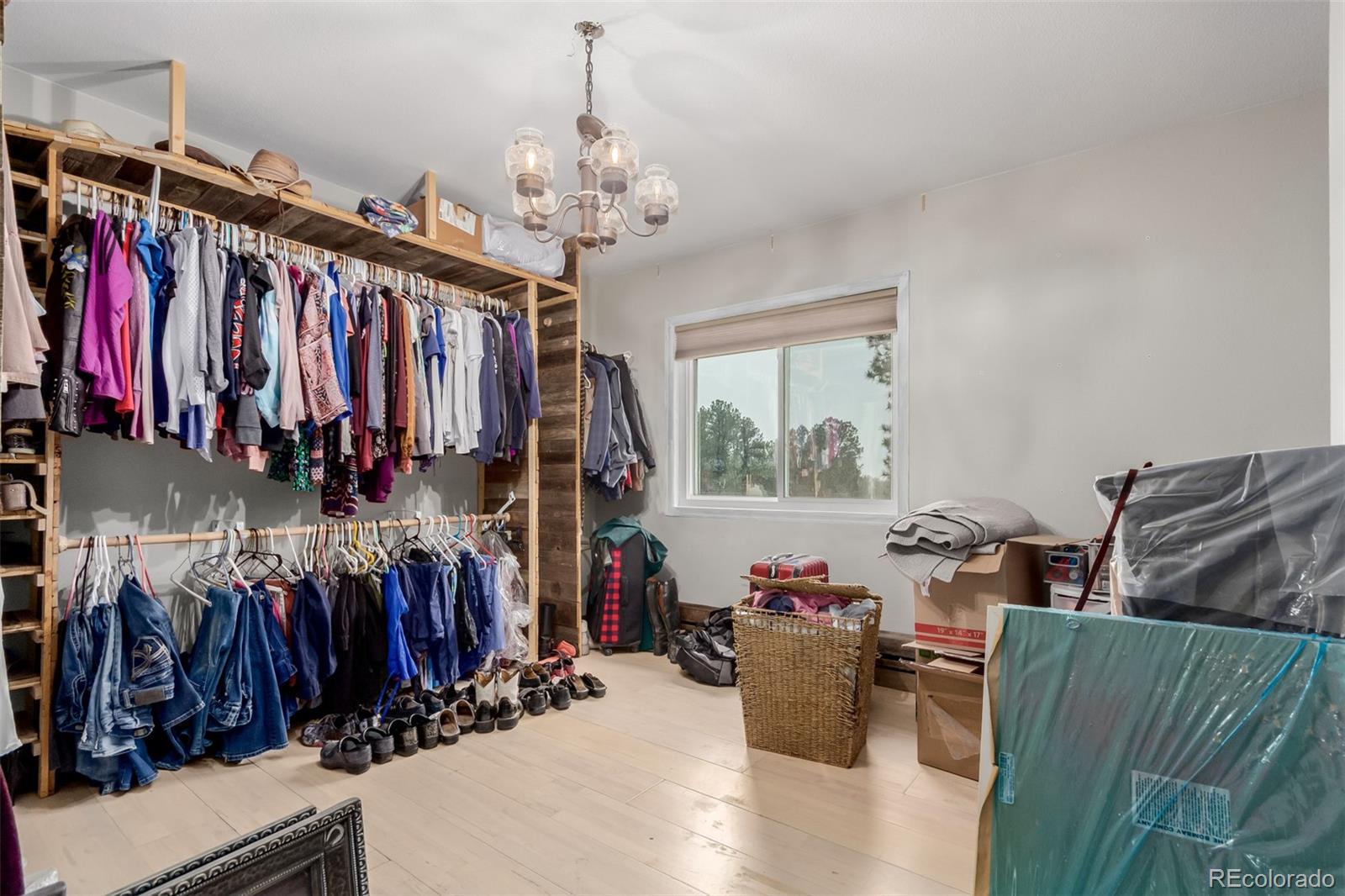 MLS Image #22 for 1341  tomichi drive,franktown, Colorado
