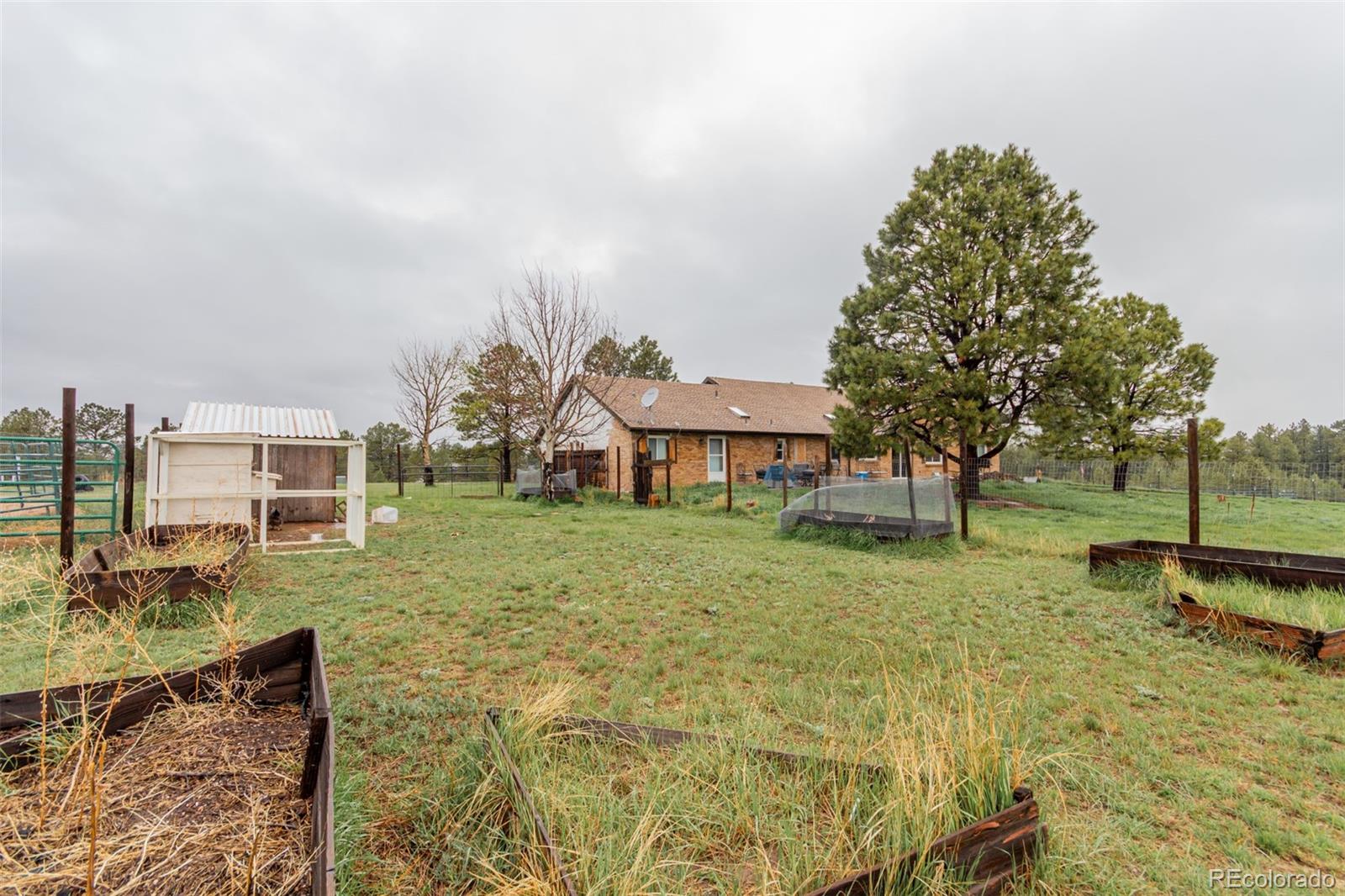 MLS Image #40 for 1341  tomichi drive,franktown, Colorado