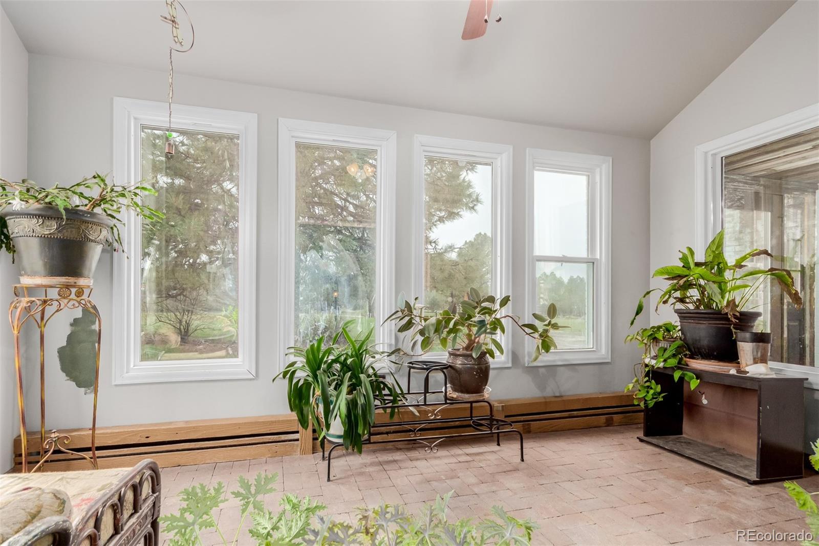 MLS Image #6 for 1341  tomichi drive,franktown, Colorado
