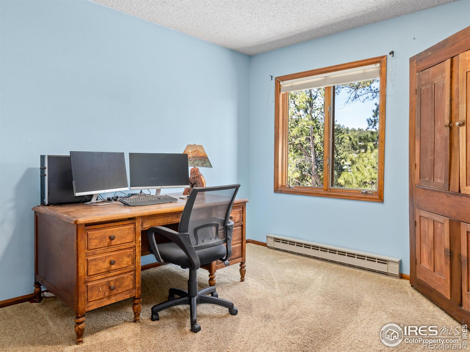 MLS Image #20 for 2175  carriage drive,estes park, Colorado