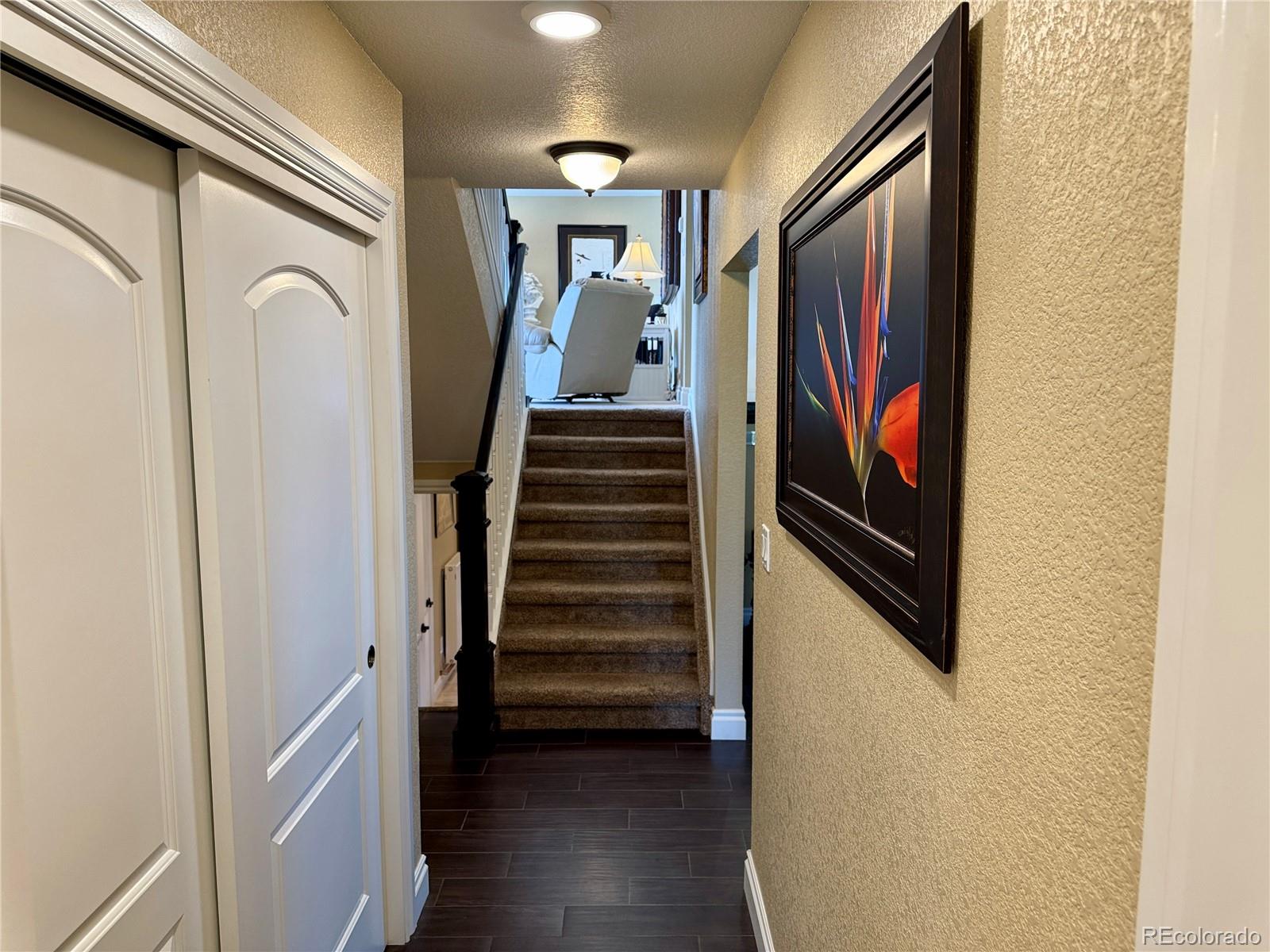 MLS Image #17 for 1063  clarke court,castle rock, Colorado