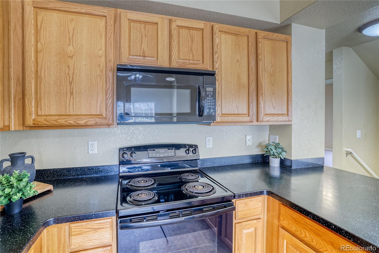 MLS Image #10 for 9585  pearl circle,parker, Colorado
