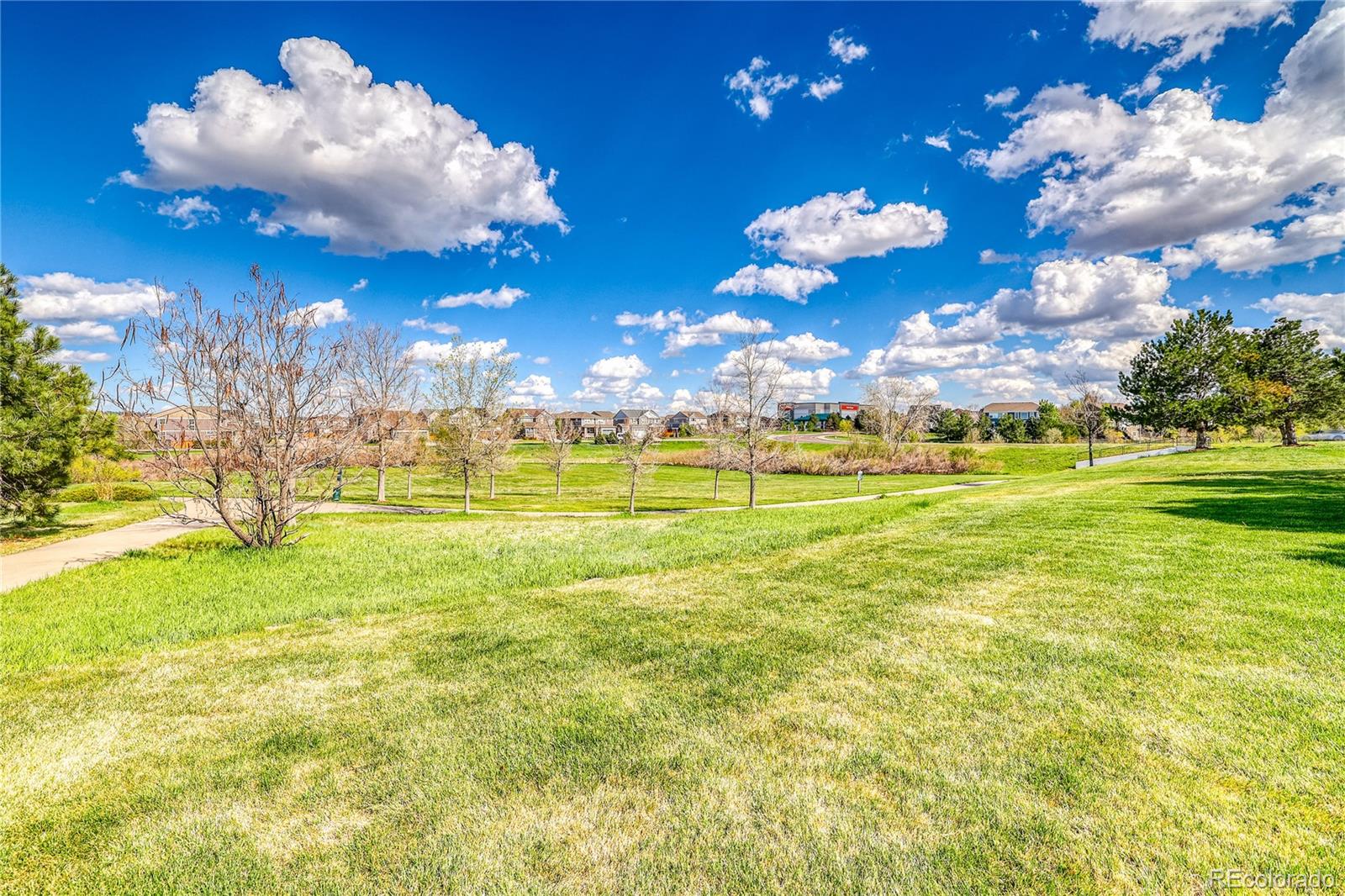 MLS Image #32 for 9585  pearl circle,parker, Colorado