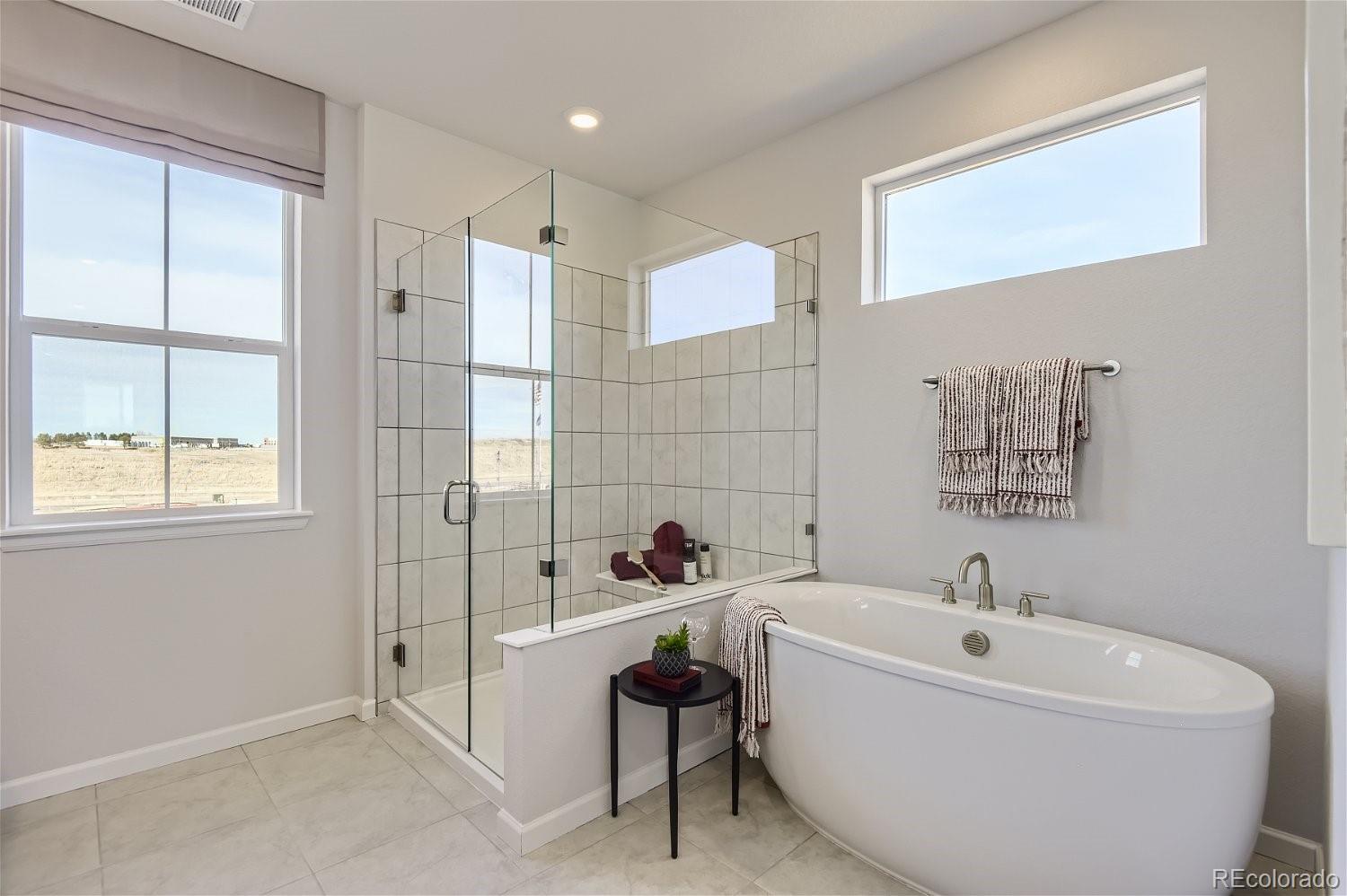 MLS Image #9 for 14123  bunny hop lane,parker, Colorado