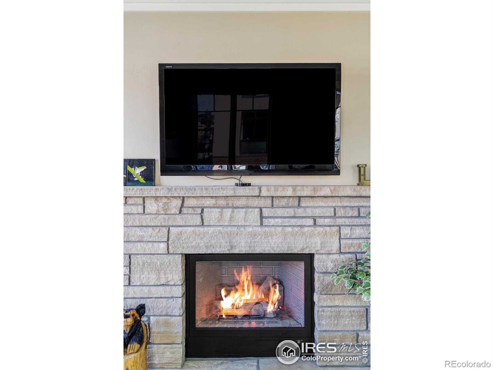 MLS Image #10 for 1301  canyon boulevard,boulder, Colorado