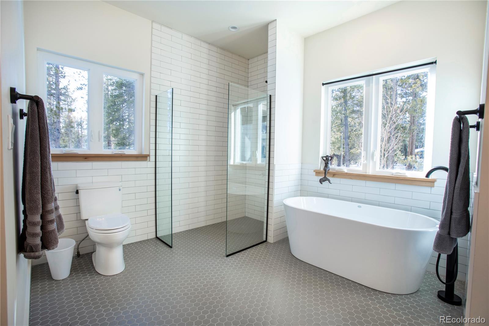 MLS Image #21 for 629  augusta drive,leadville, Colorado