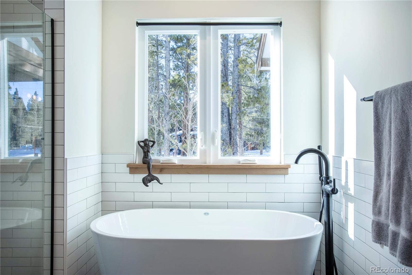 MLS Image #22 for 629  augusta drive,leadville, Colorado