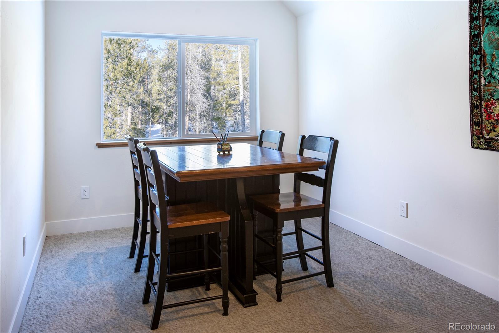 MLS Image #32 for 629  augusta drive,leadville, Colorado