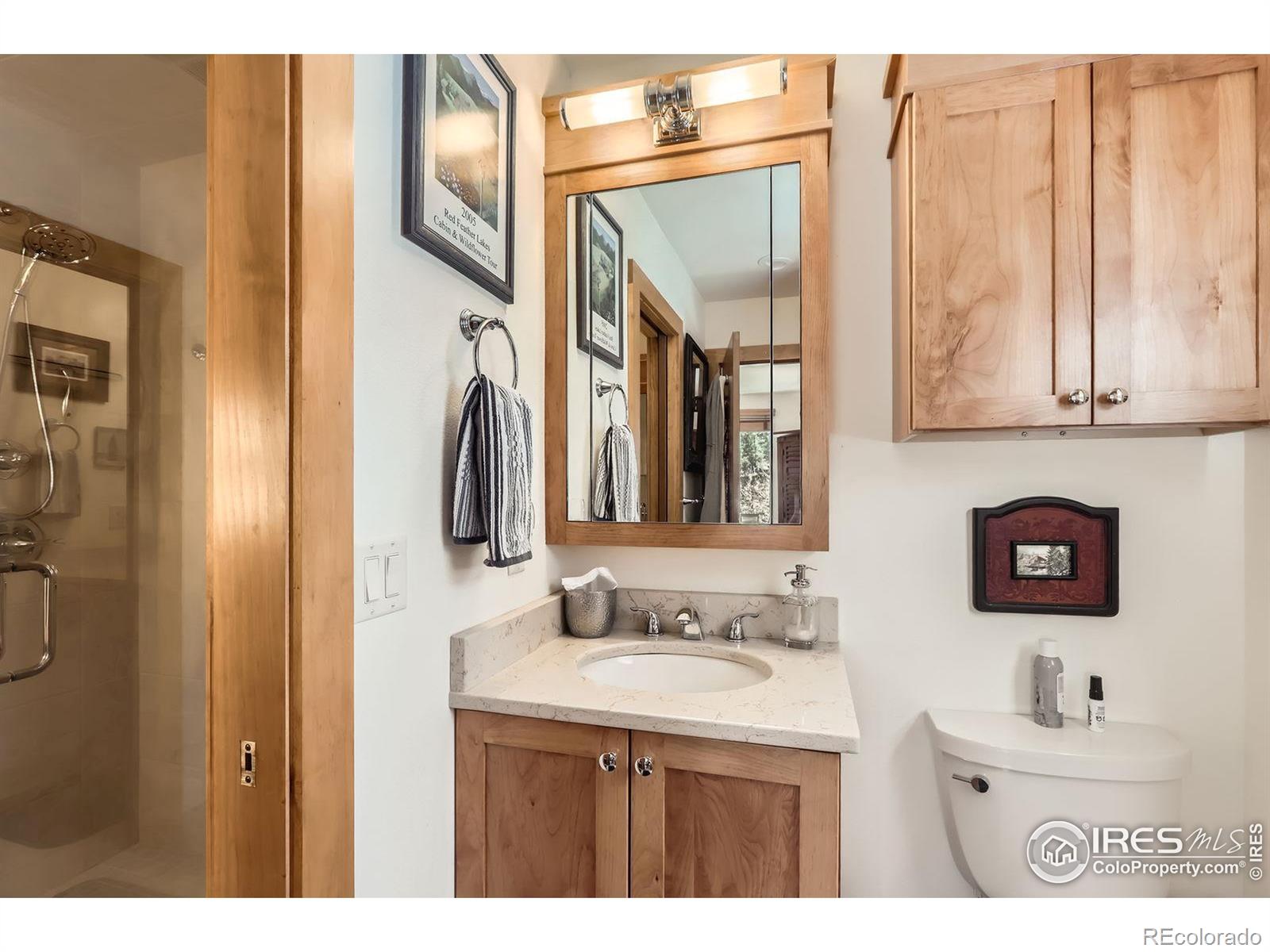 MLS Image #20 for 3162  thunder mountain lane,estes park, Colorado