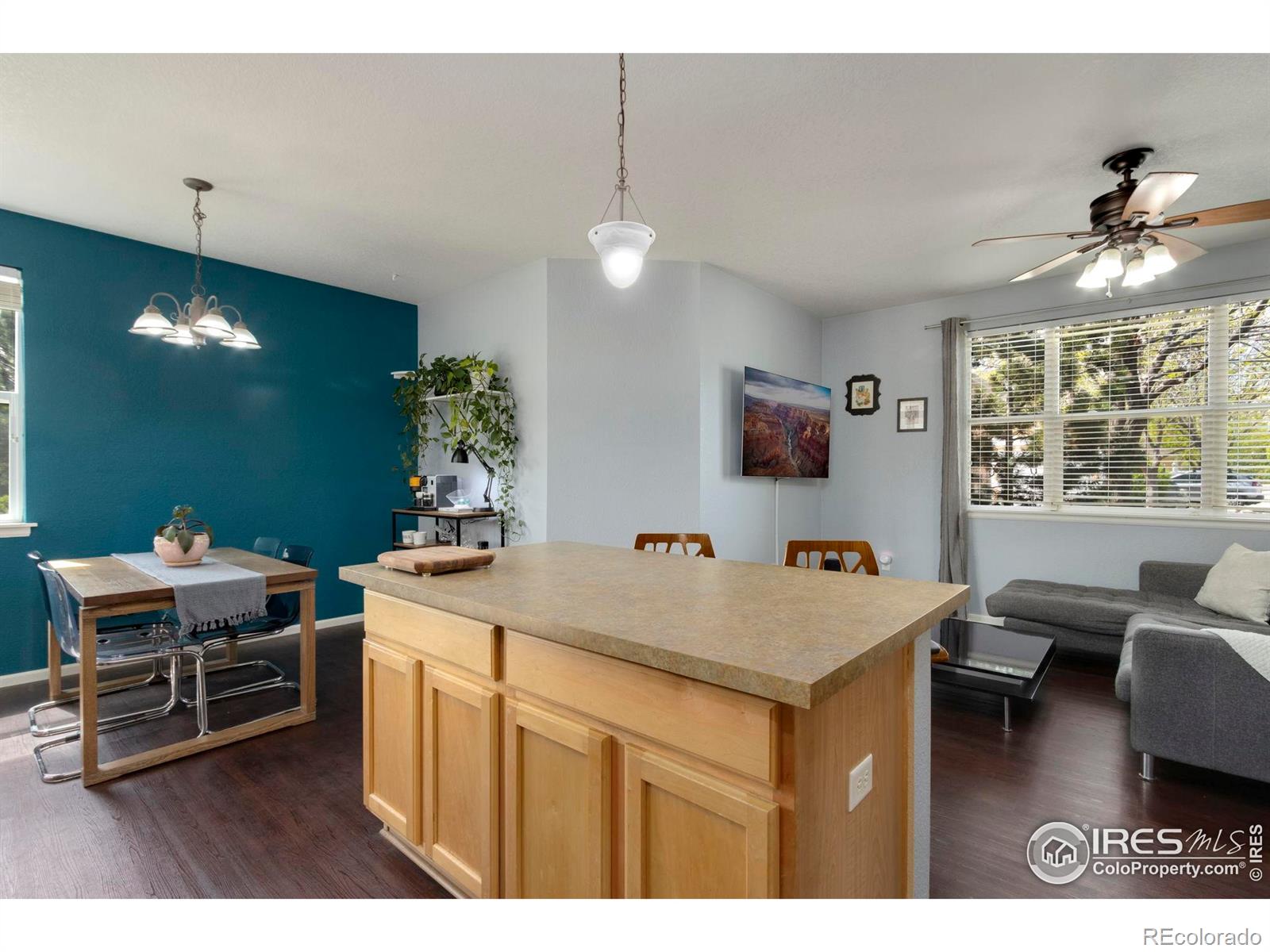 MLS Image #12 for 2155  grays peak drive,loveland, Colorado
