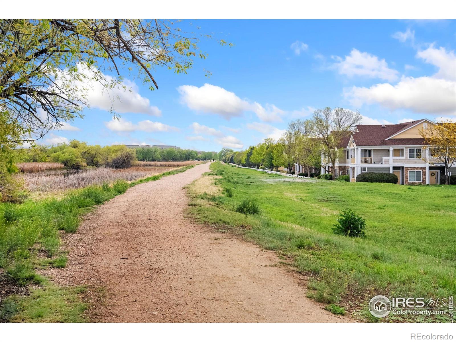 MLS Image #27 for 2155  grays peak drive,loveland, Colorado