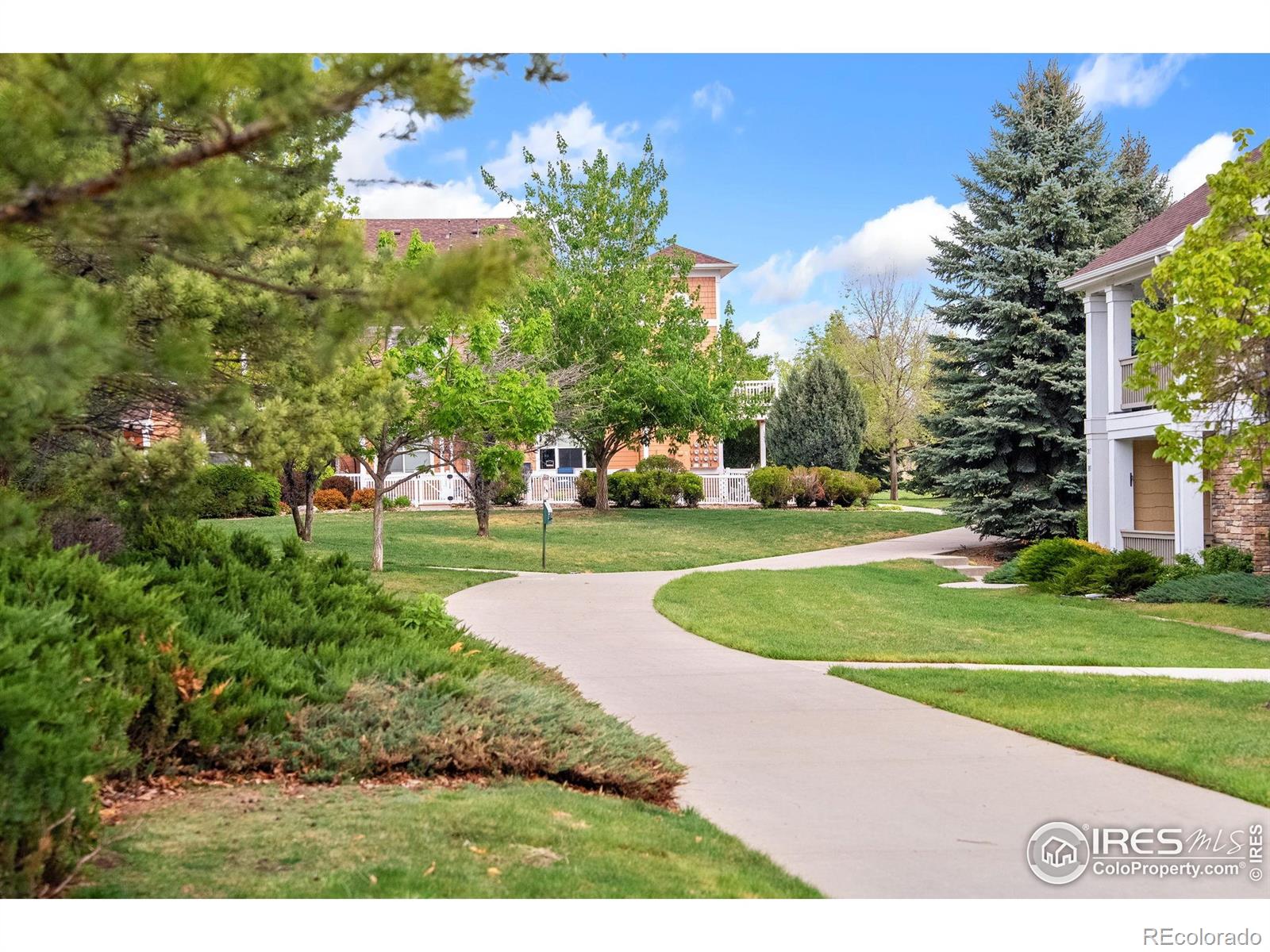 MLS Image #31 for 2155  grays peak drive,loveland, Colorado