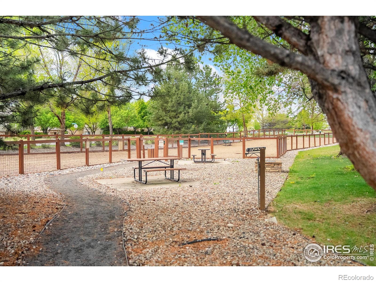MLS Image #32 for 2155  grays peak drive,loveland, Colorado