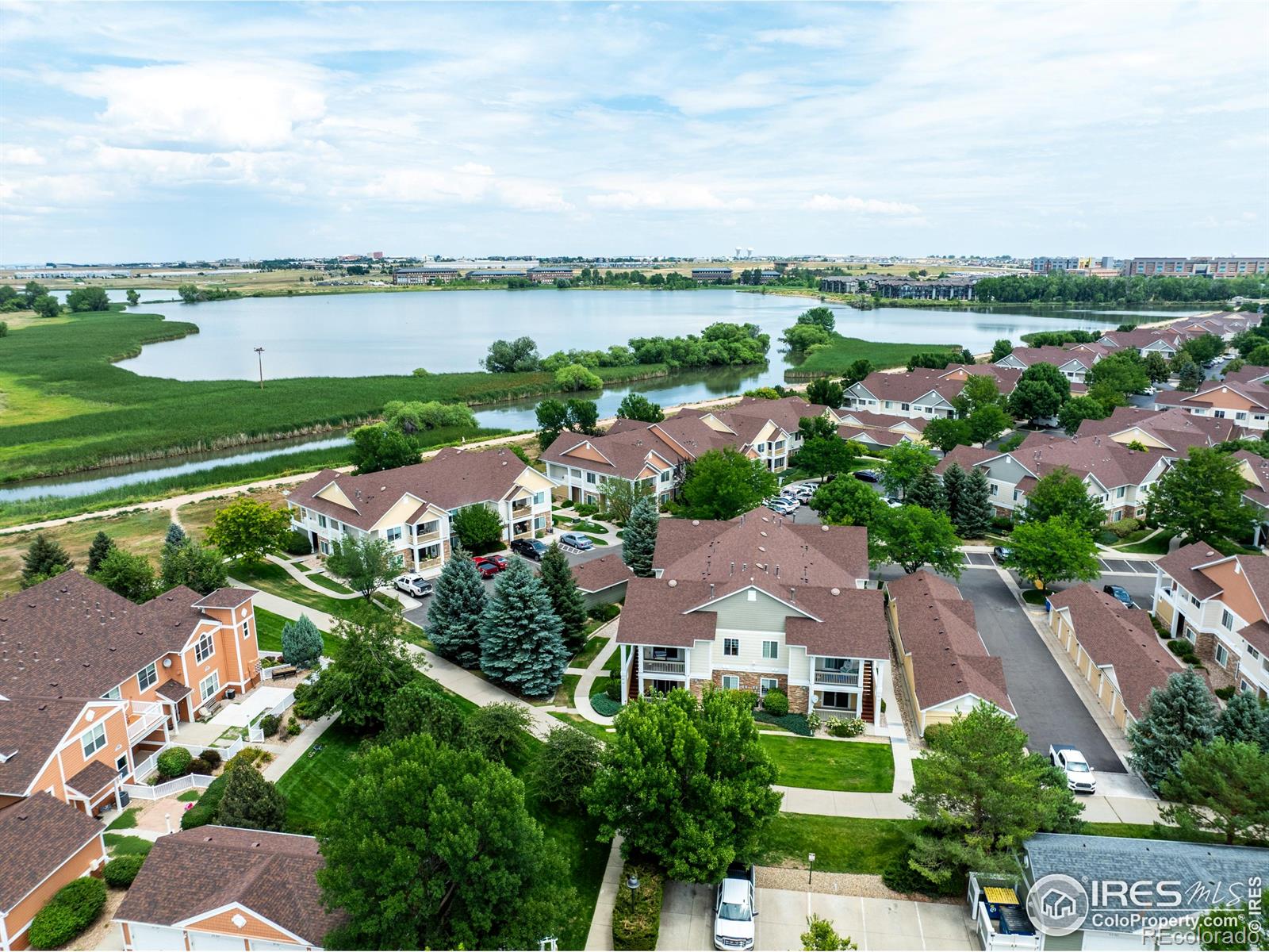 MLS Image #15 for 4635  hahns peak drive,loveland, Colorado