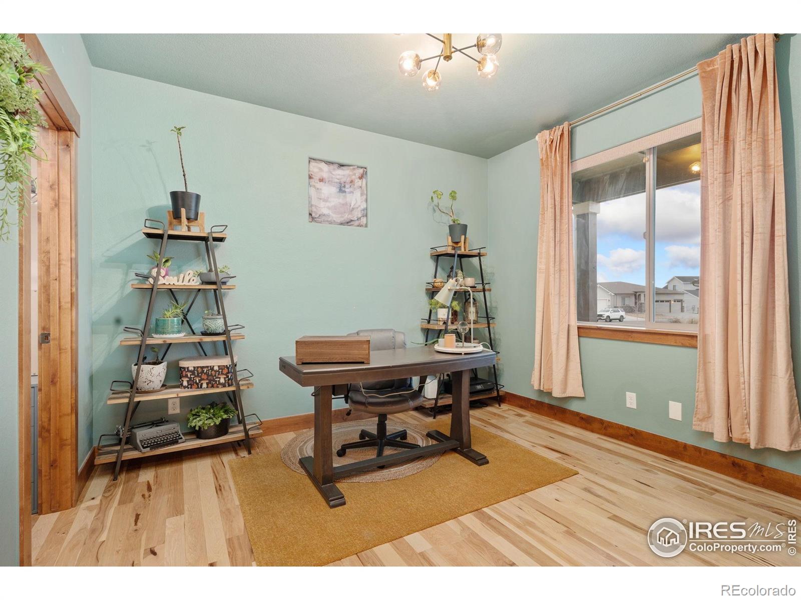 MLS Image #5 for 1646  marbeck drive,windsor, Colorado