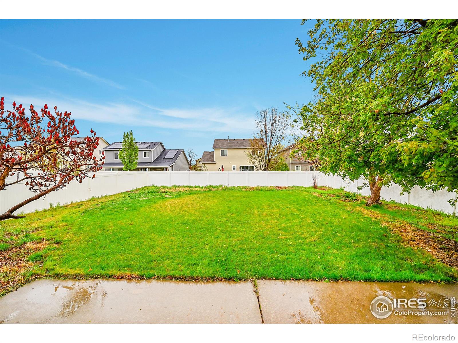 MLS Image #26 for 2620  ashland lane,fort collins, Colorado