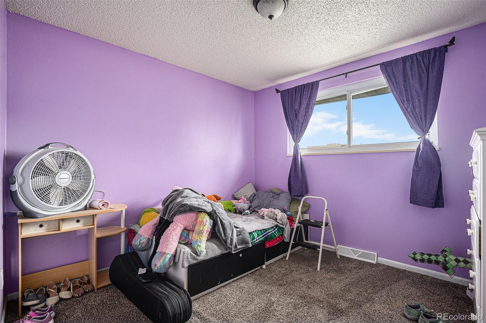 MLS Image #8 for 547 s 3rd avenue ,brighton, Colorado