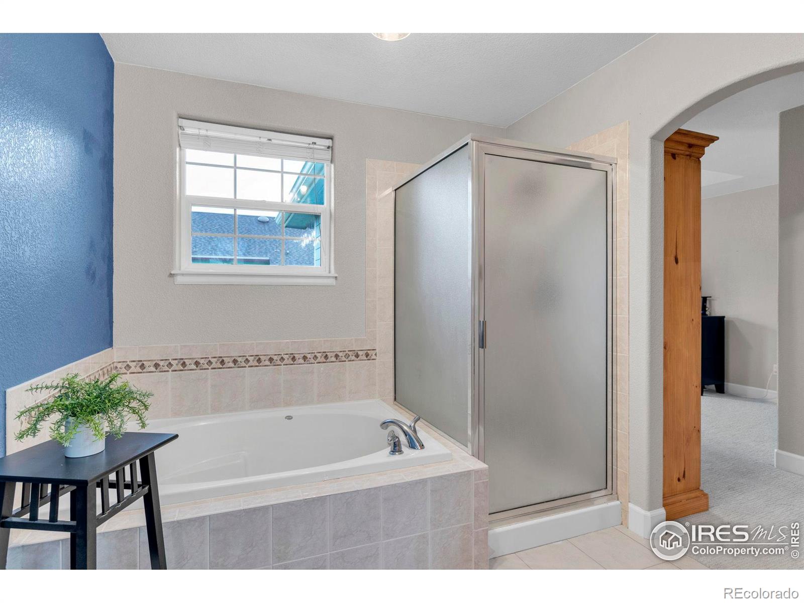 MLS Image #23 for 1369  padfield place,erie, Colorado