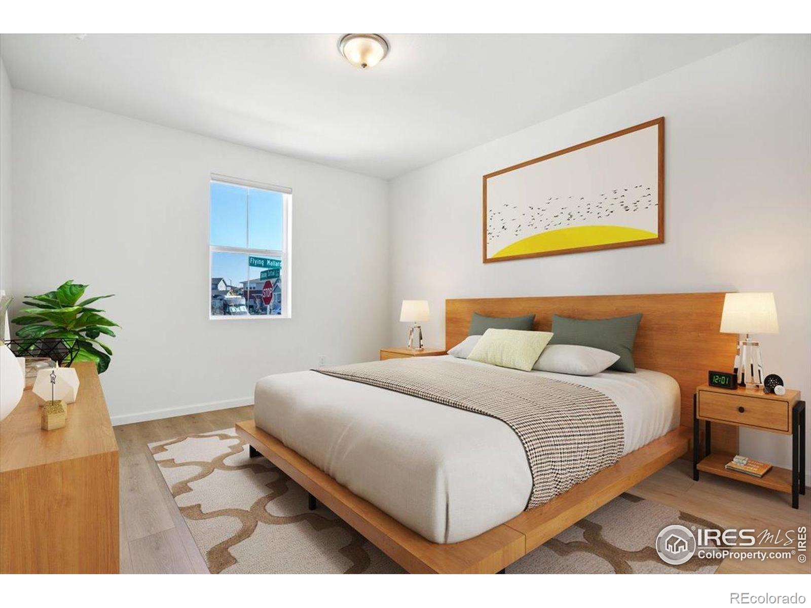 MLS Image #10 for 6057  flying mallard drive,fort collins, Colorado