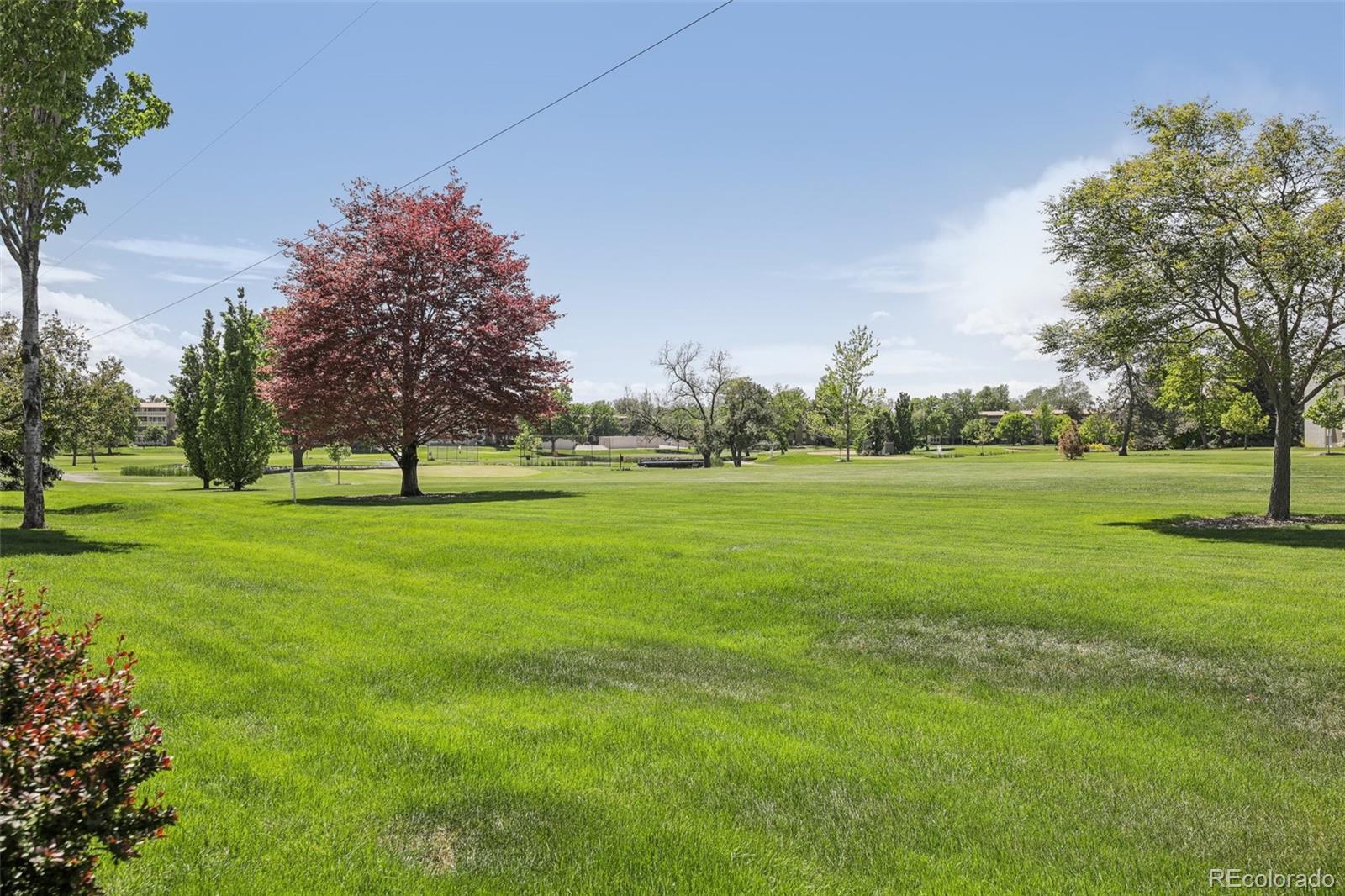 MLS Image #19 for 625 s clinton street,denver, Colorado