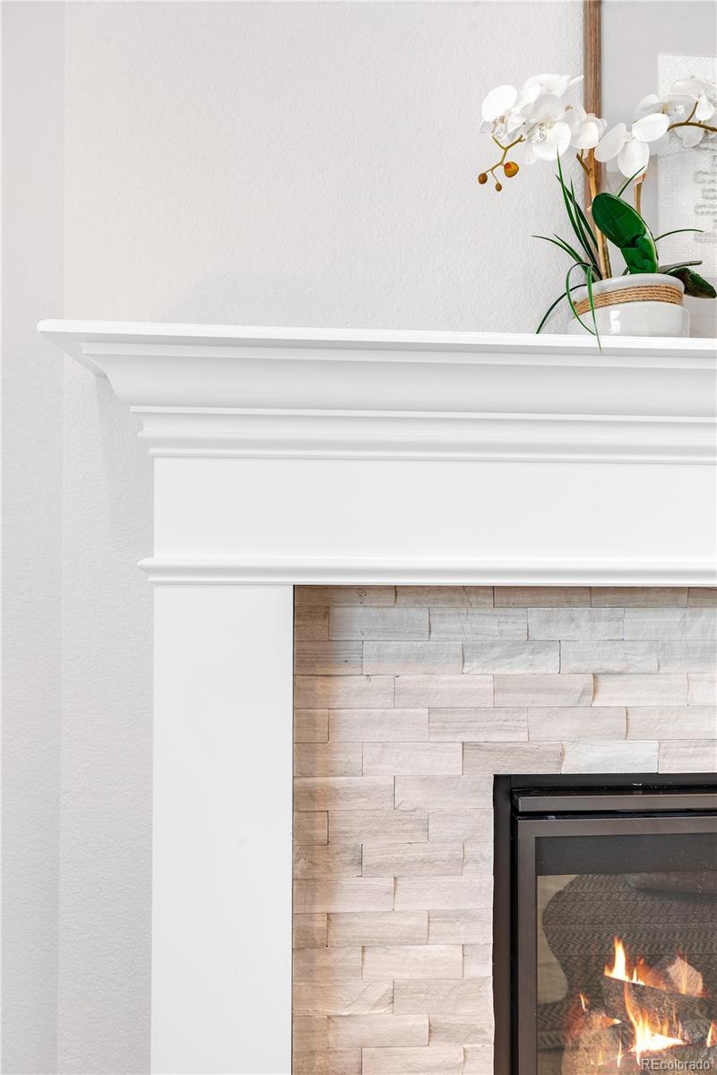 MLS Image #10 for 821  boulder peak avenue,erie, Colorado