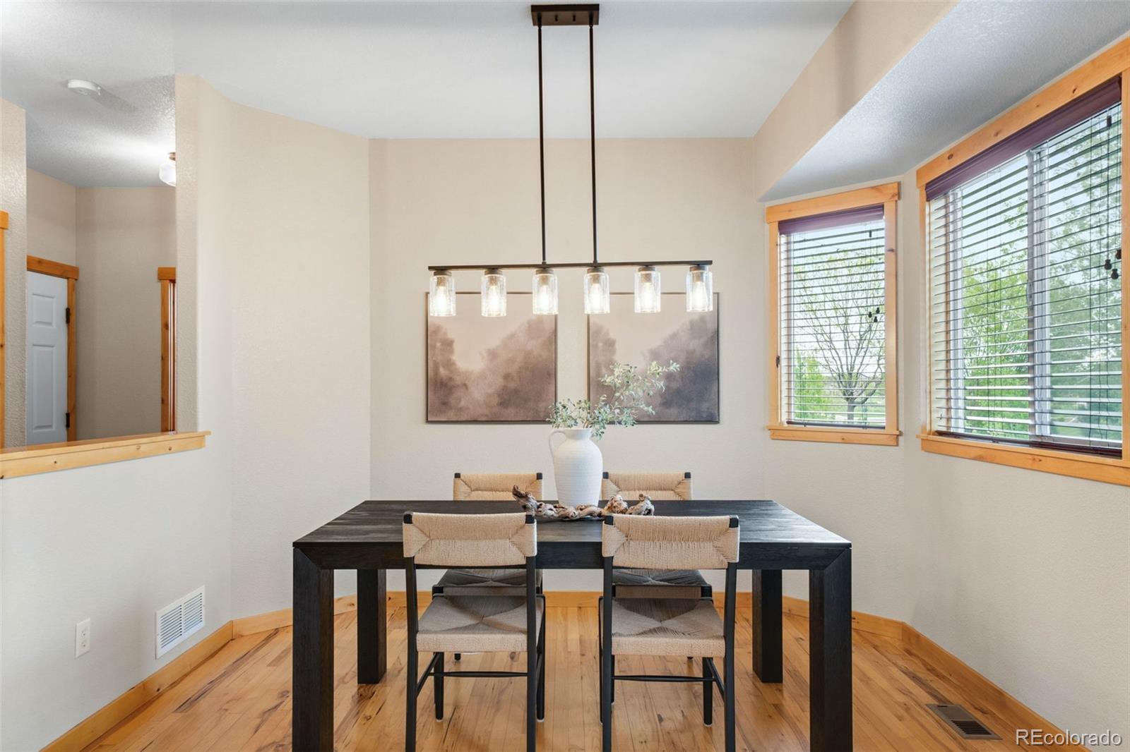 MLS Image #6 for 1719  green river drive,windsor, Colorado