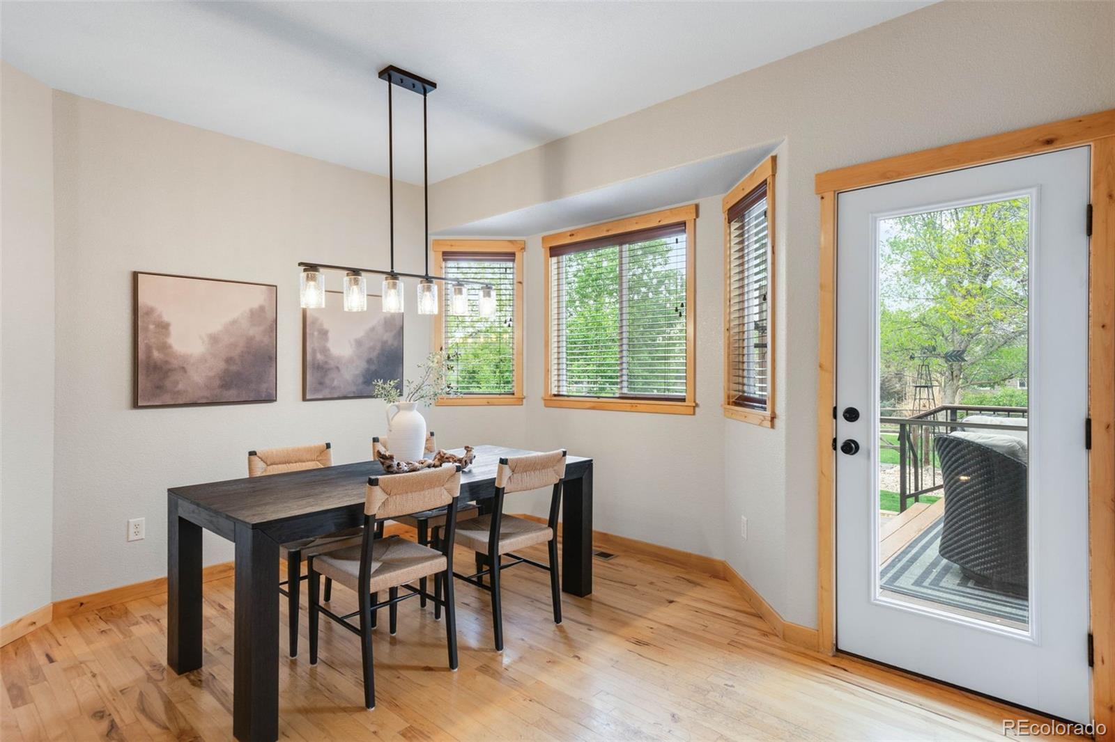MLS Image #7 for 1719  green river drive,windsor, Colorado