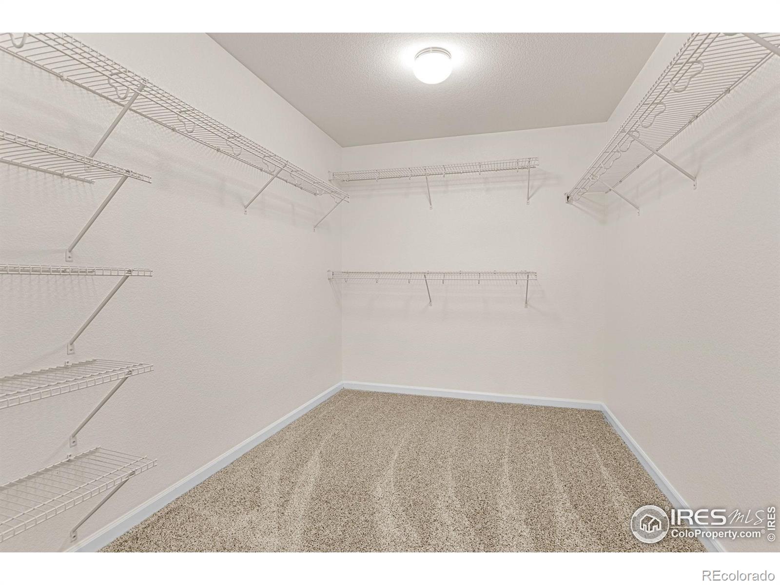 MLS Image #26 for 687  jarvis drive,erie, Colorado