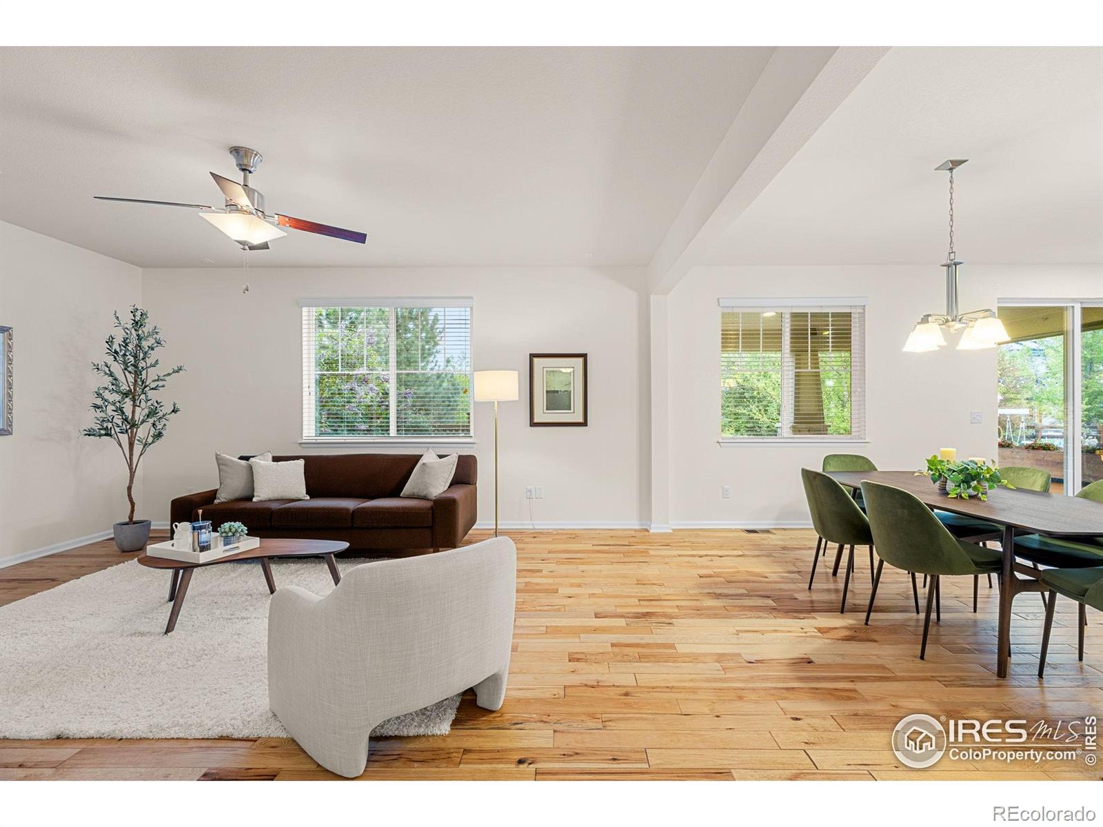 MLS Image #5 for 687  jarvis drive,erie, Colorado