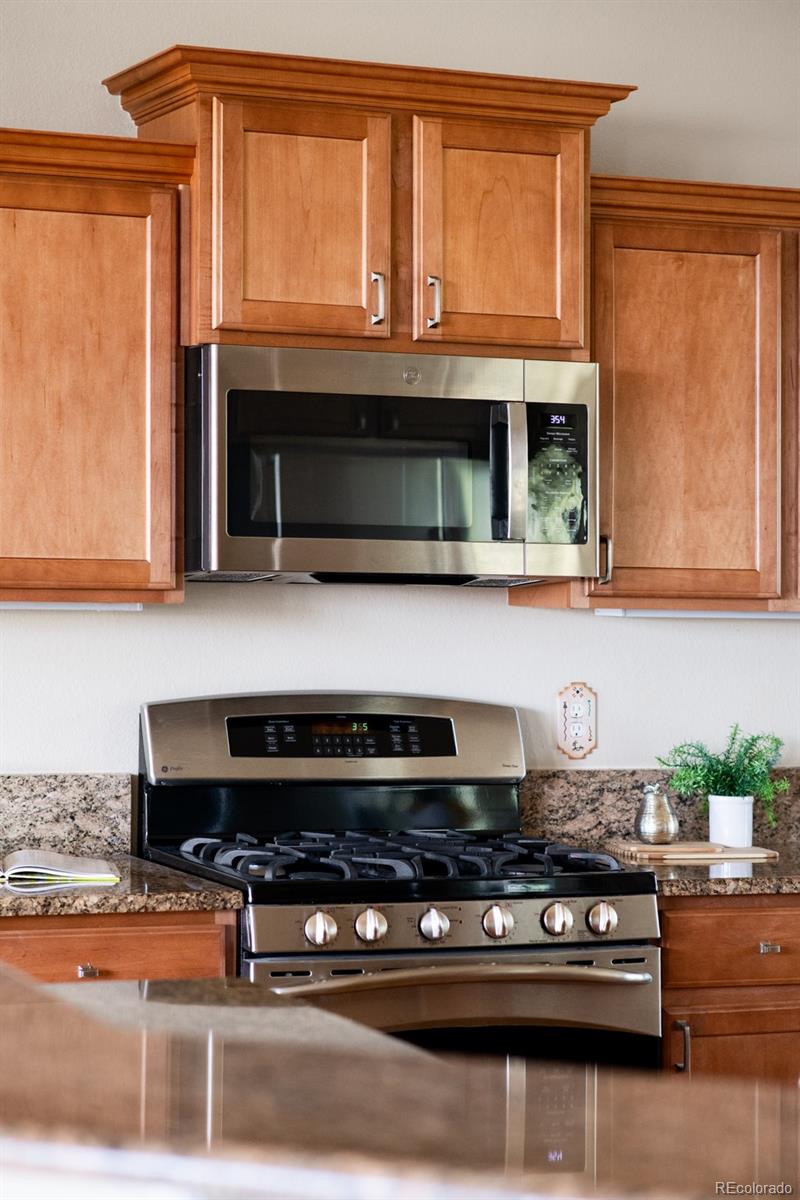 MLS Image #11 for 4519  silver mountain loop,broomfield, Colorado