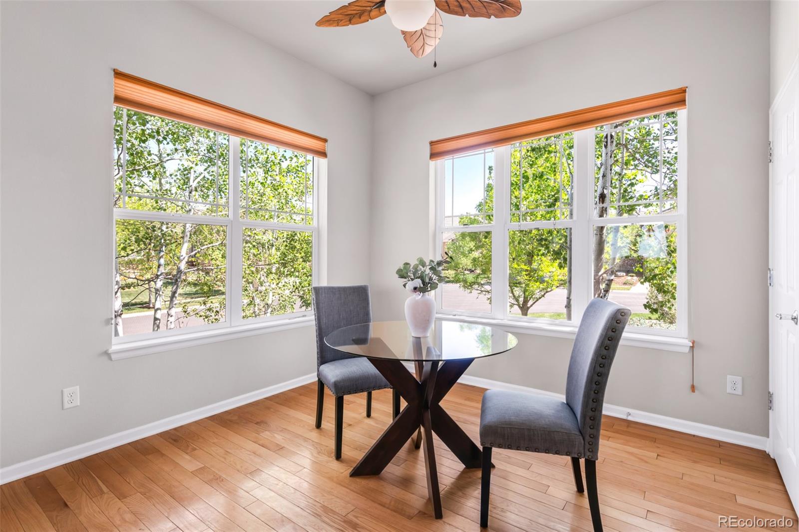 MLS Image #13 for 4519  silver mountain loop,broomfield, Colorado