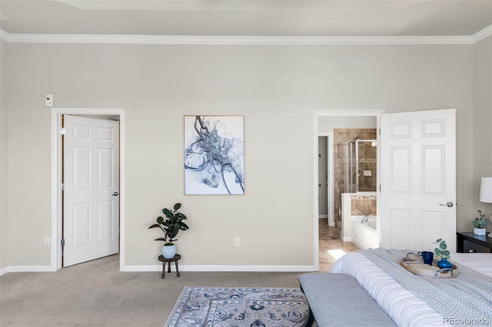 MLS Image #19 for 4519  silver mountain loop,broomfield, Colorado