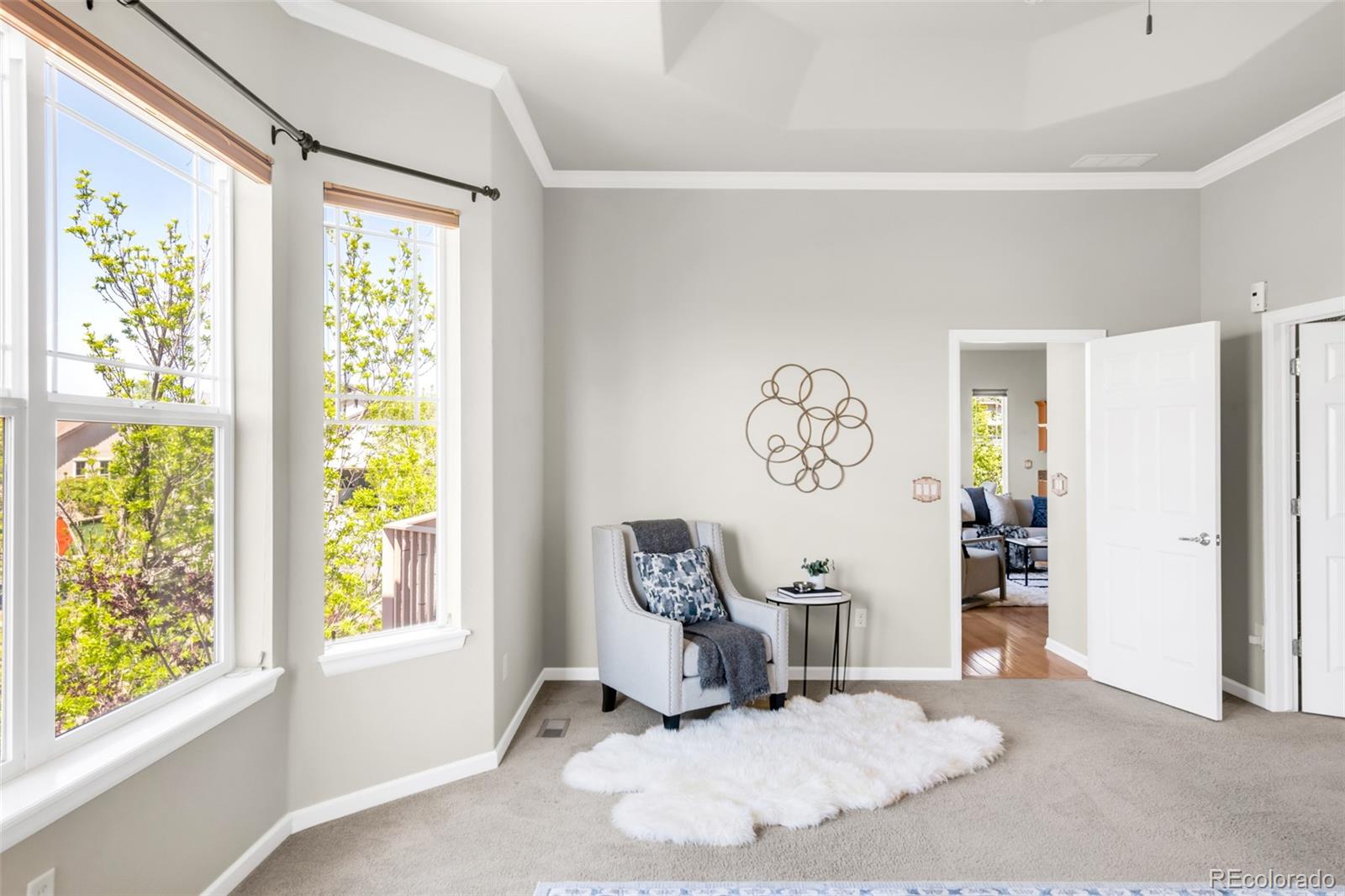 MLS Image #20 for 4519  silver mountain loop,broomfield, Colorado
