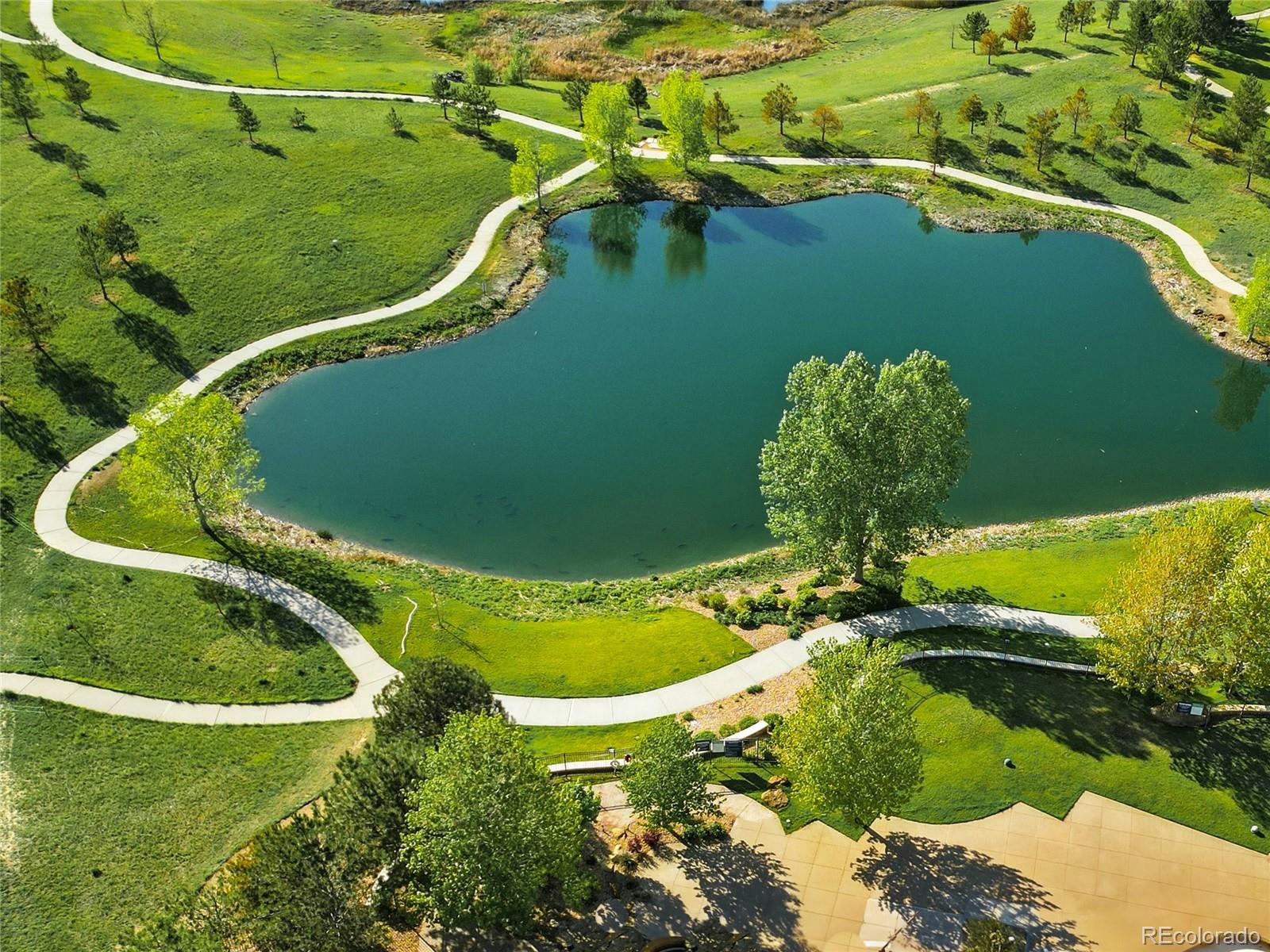 MLS Image #48 for 4519  silver mountain loop,broomfield, Colorado