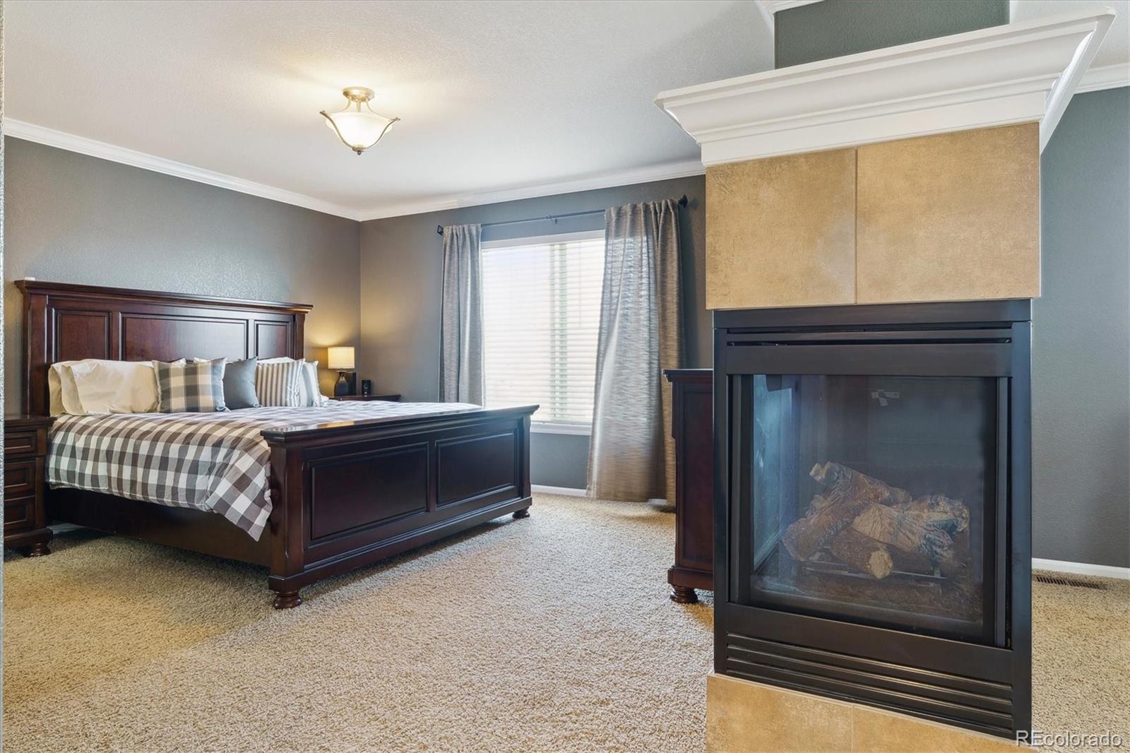 MLS Image #13 for 2948  open sky way,castle rock, Colorado