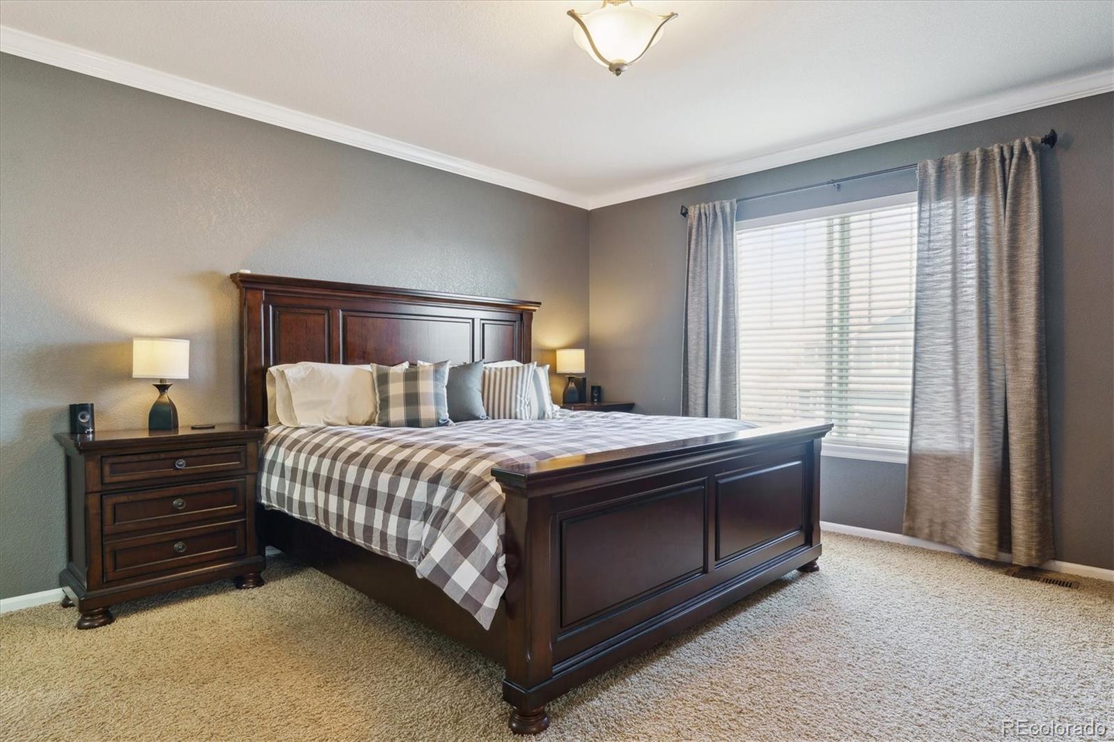 MLS Image #14 for 2948  open sky way,castle rock, Colorado
