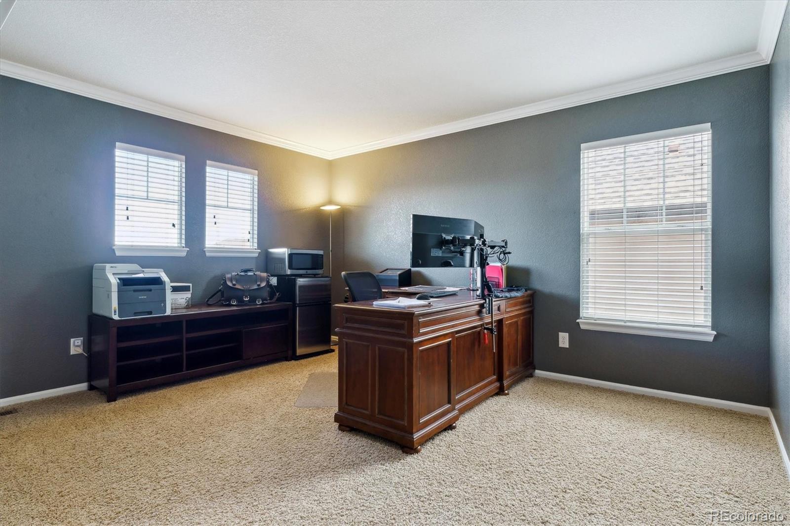MLS Image #16 for 2948  open sky way,castle rock, Colorado