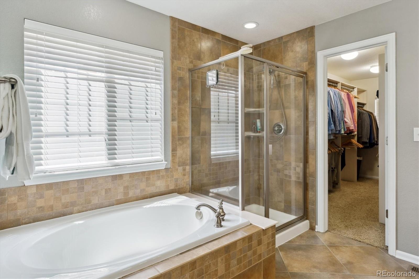 MLS Image #18 for 2948  open sky way,castle rock, Colorado