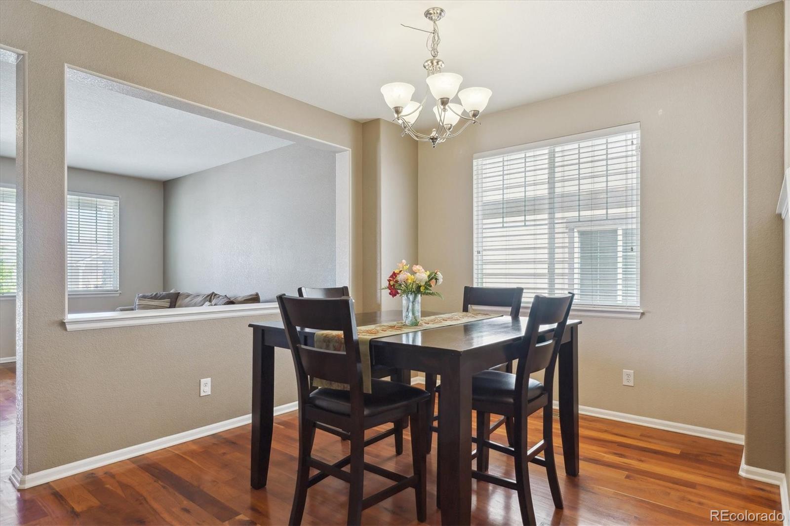 MLS Image #4 for 2948  open sky way,castle rock, Colorado