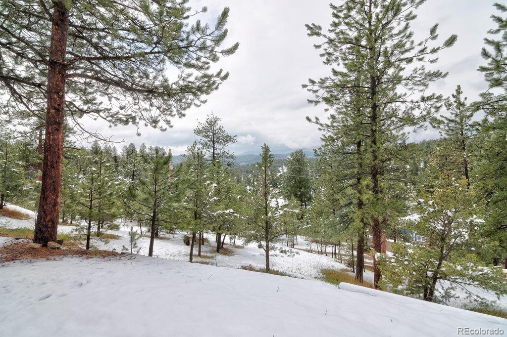 MLS Image #6 for 45  oak way,evergreen, Colorado