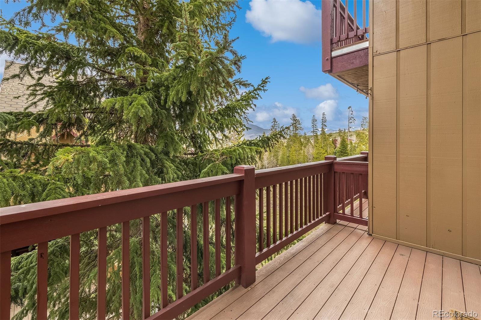 MLS Image #13 for 21  buffalo drive,silverthorne, Colorado