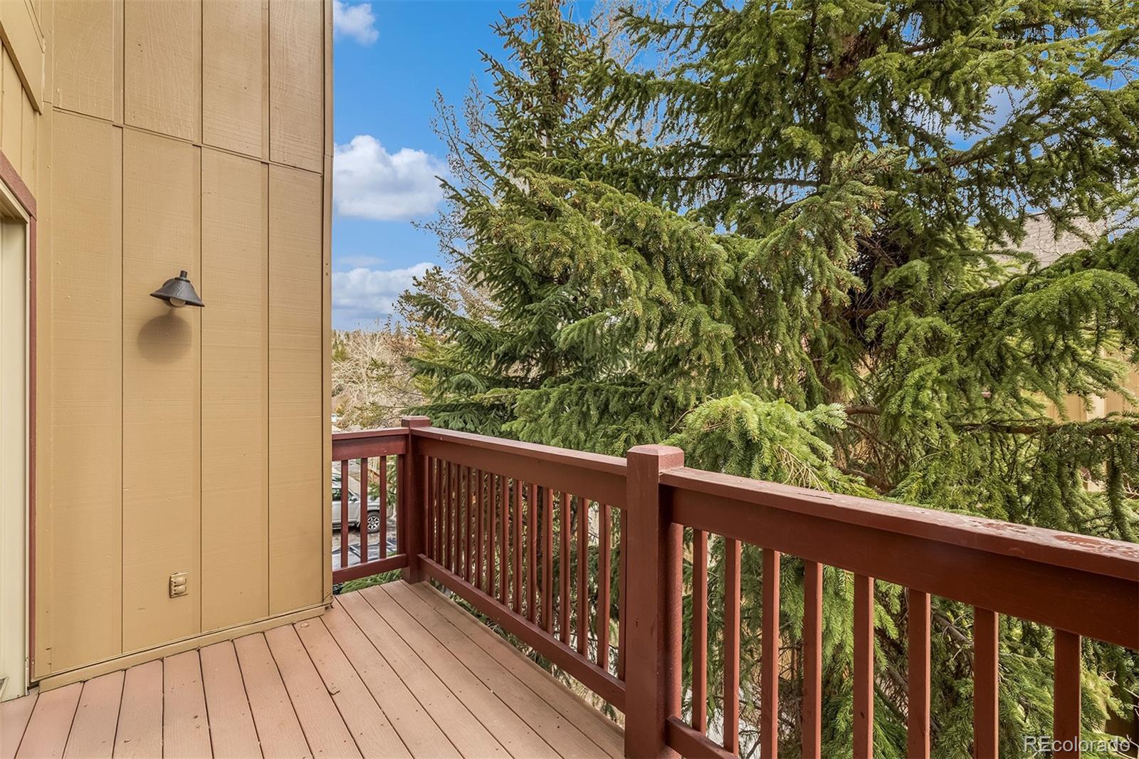 MLS Image #15 for 21  buffalo drive,silverthorne, Colorado
