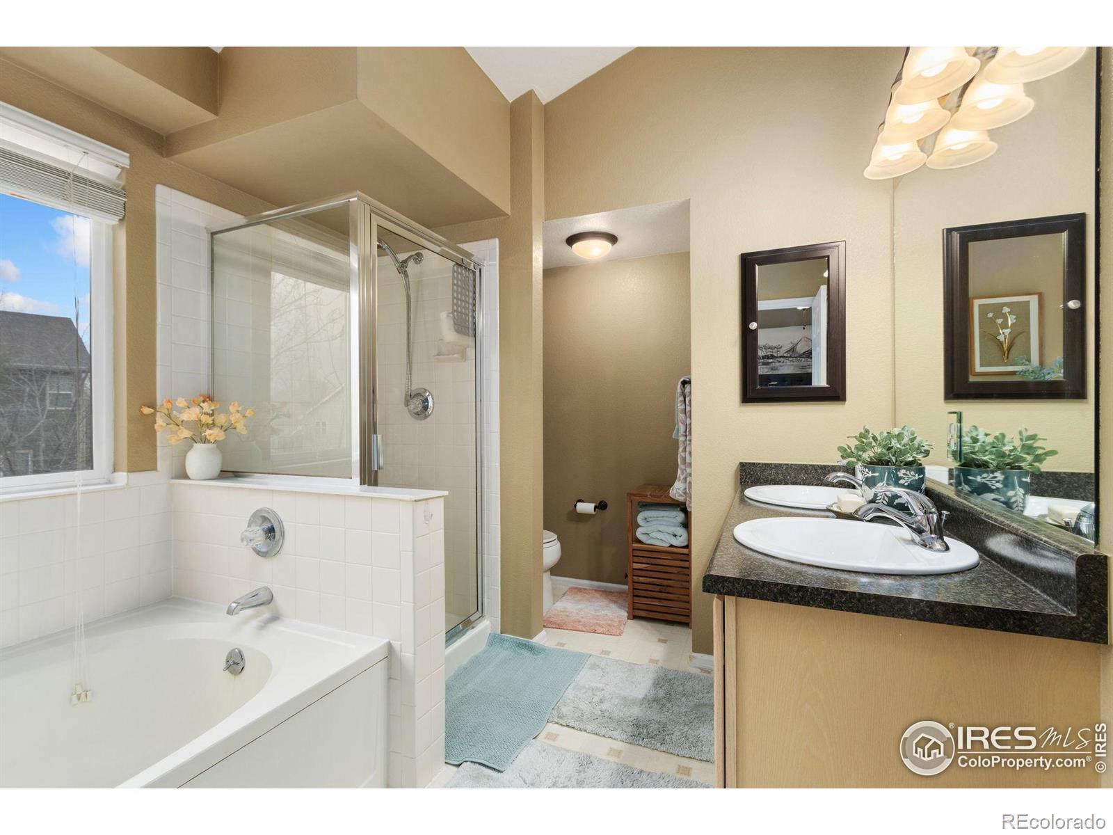 MLS Image #18 for 820  courtenay circle,fort collins, Colorado