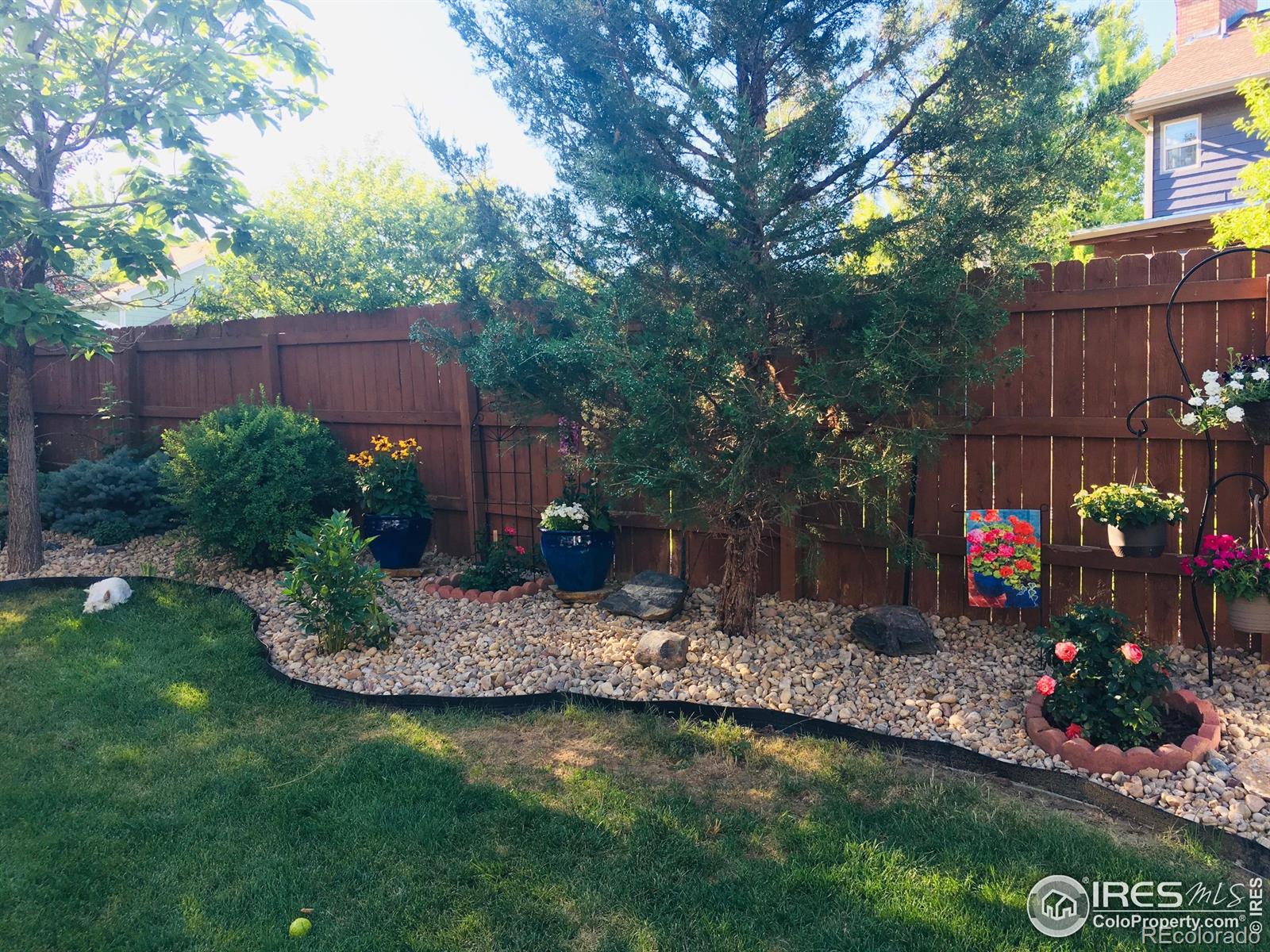 MLS Image #30 for 820  courtenay circle,fort collins, Colorado