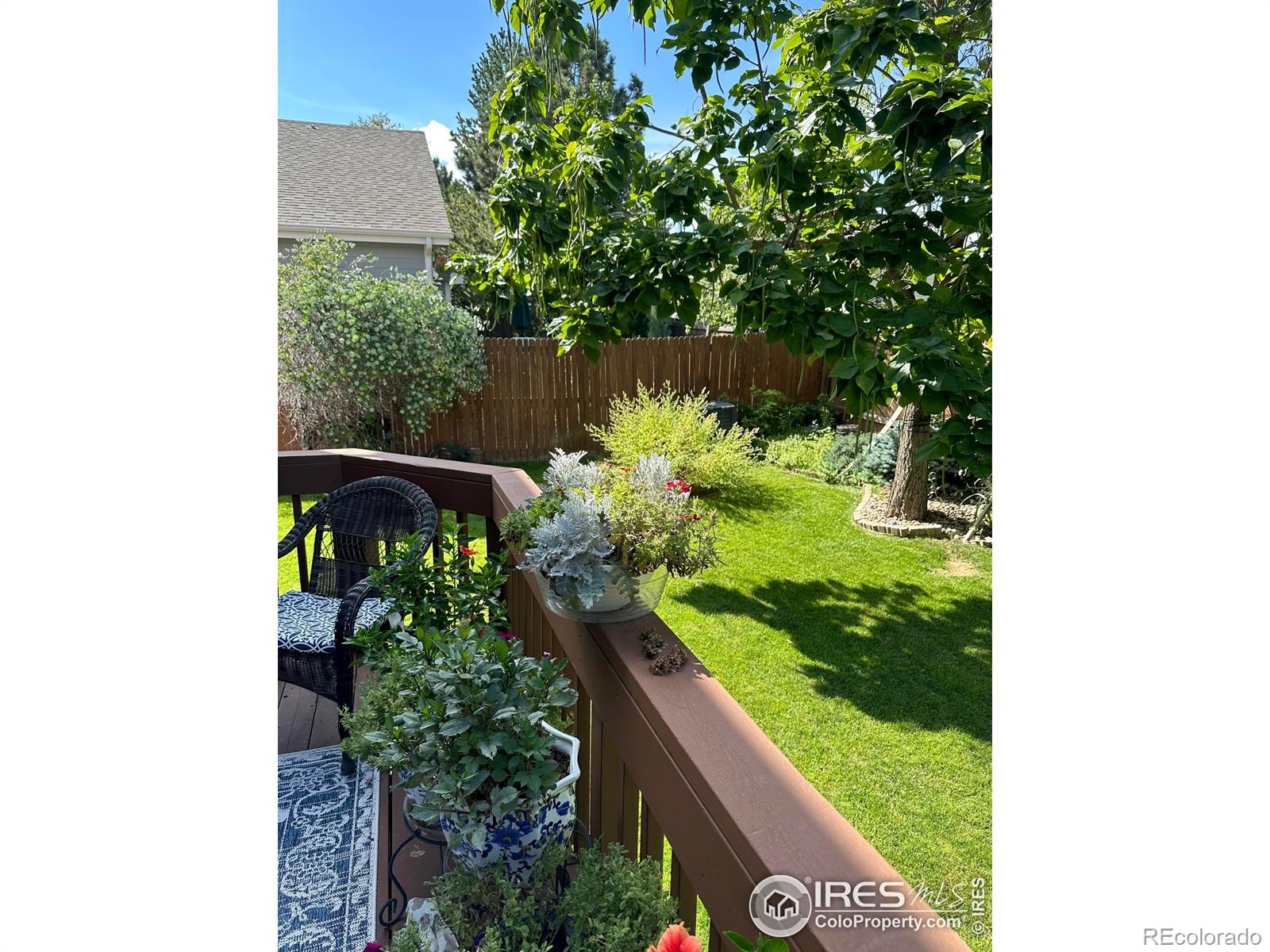 MLS Image #37 for 820  courtenay circle,fort collins, Colorado