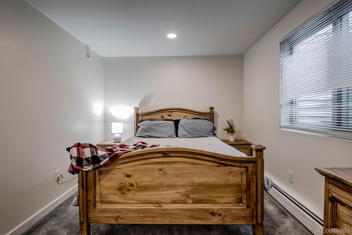 MLS Image #19 for 675  straight creek drive,dillon, Colorado